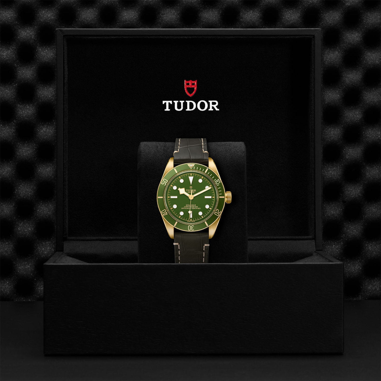 Tudor Black Bay Fifty-Eight 18k M79018V-0001 - Image 5