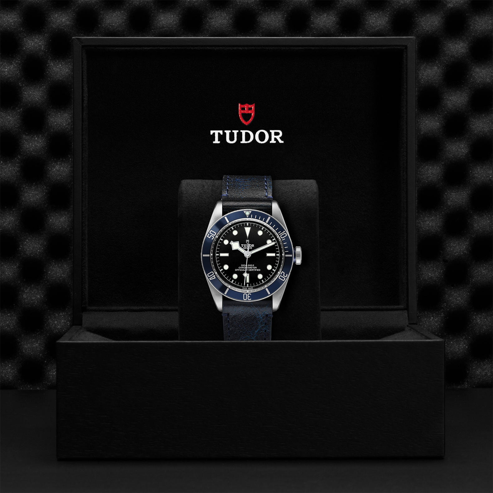 Tudor Black Bay M79230B-0007 - Image 5