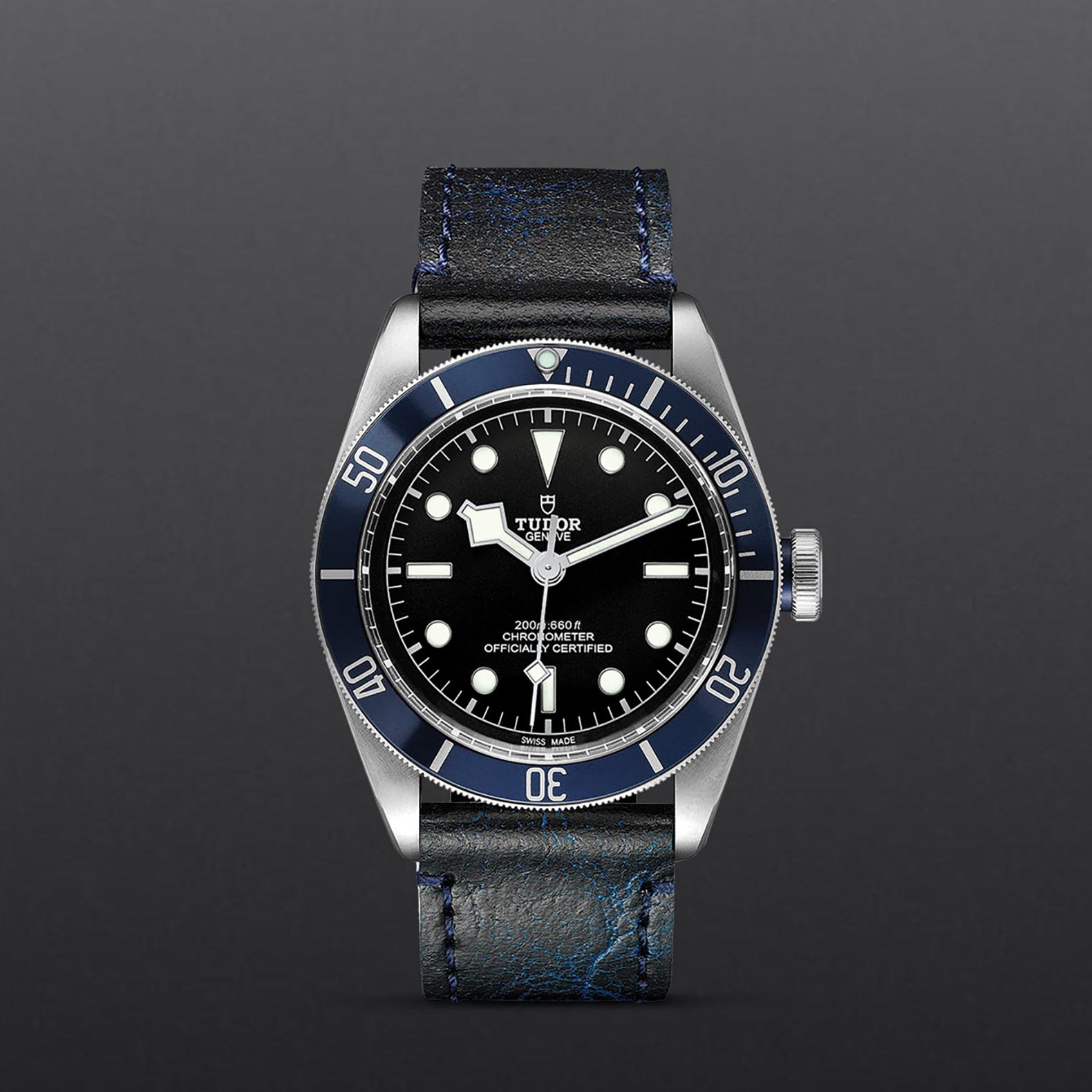 Tudor Black Bay M79230B-0007