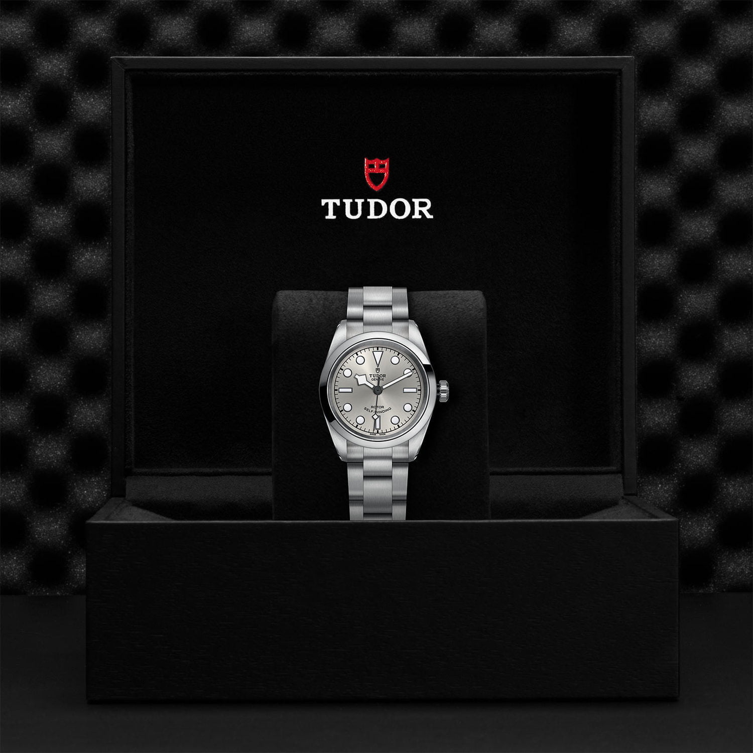 Tudor Black Bay 32 M79580-0007 - Image 5
