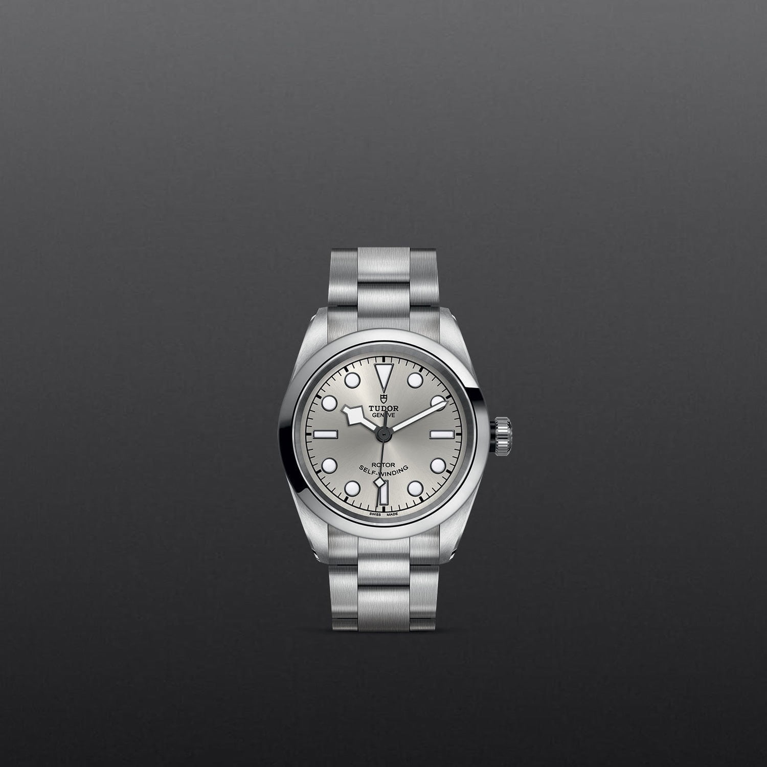 Tudor Black Bay 32 M79580-0007