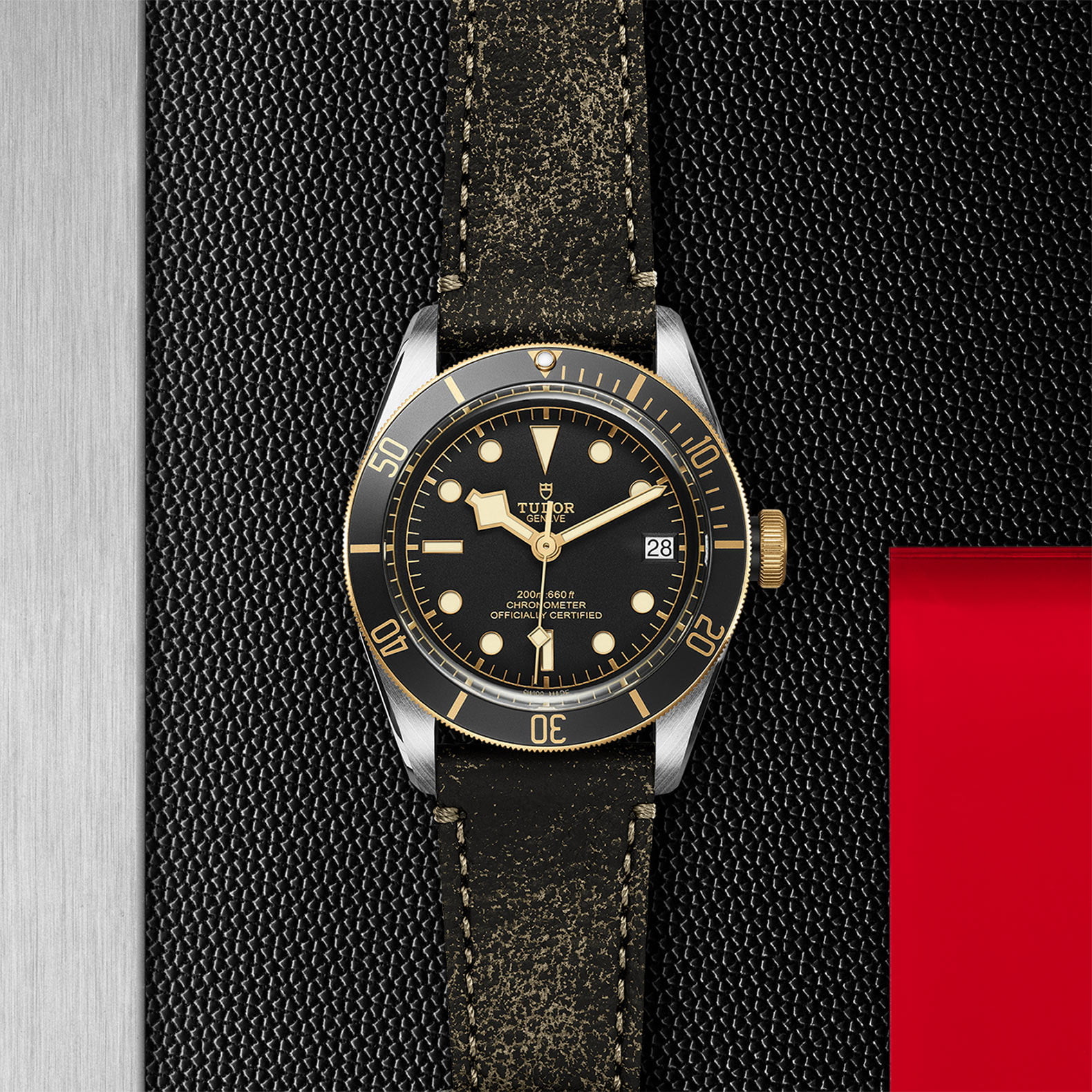 Tudor Black Bay S&G M79733N-0007 - Image 3