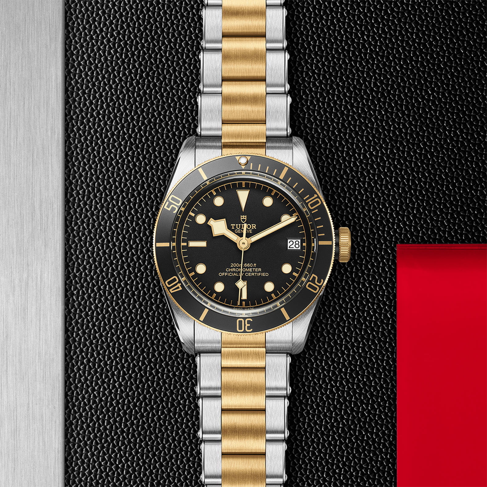 Tudor Black Bay S&G M79733N-0008 - Image 3