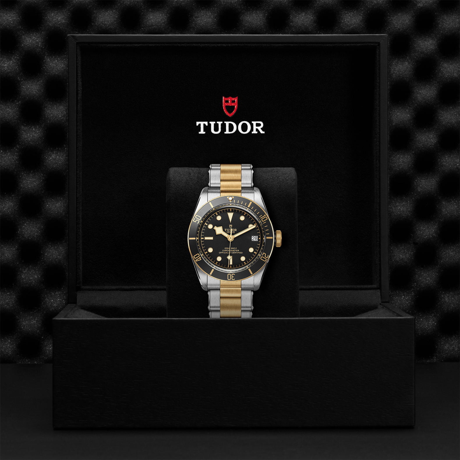 Tudor Black Bay S&G M79733N-0008 - Image 5