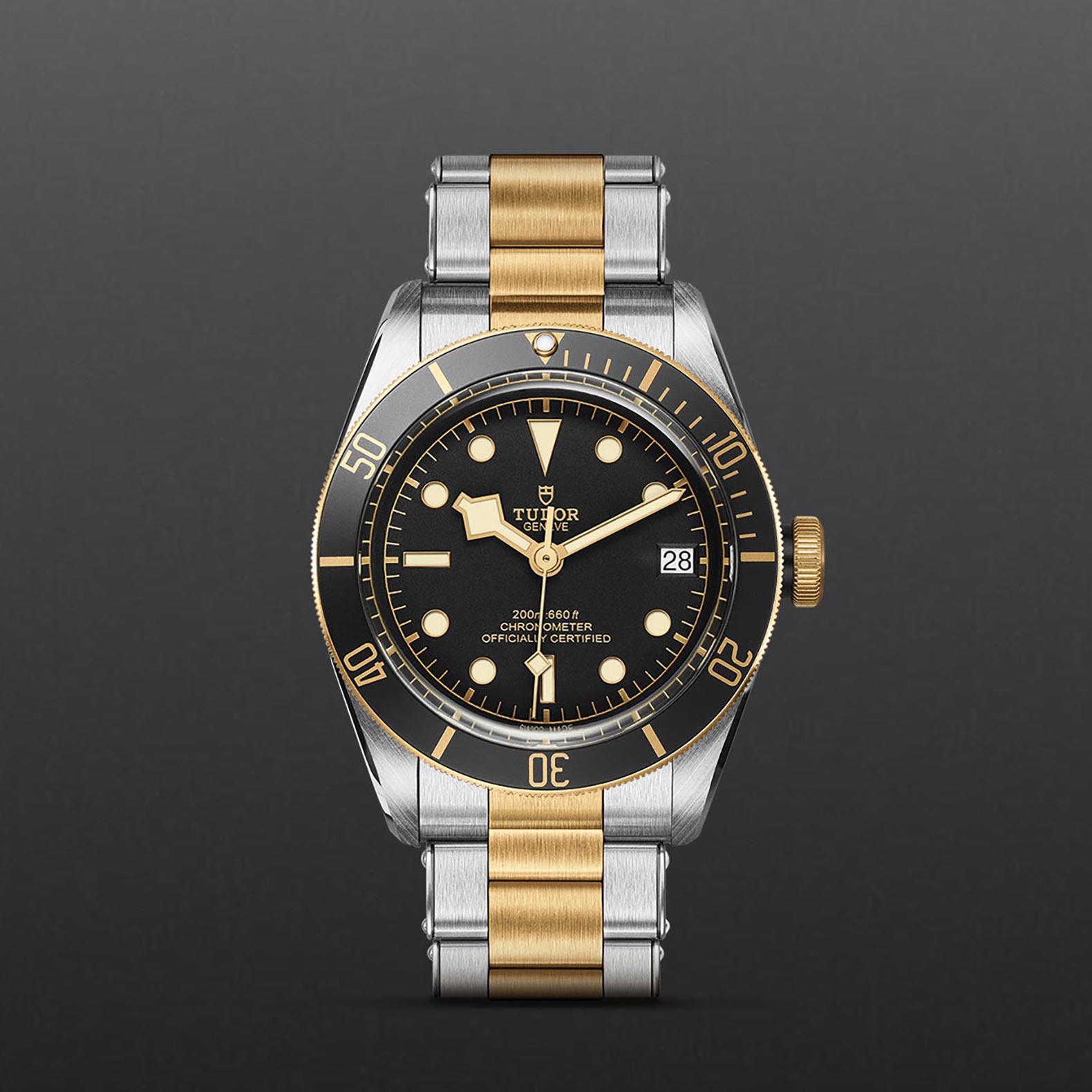 Tudor Black Bay S&G M79733N-0008